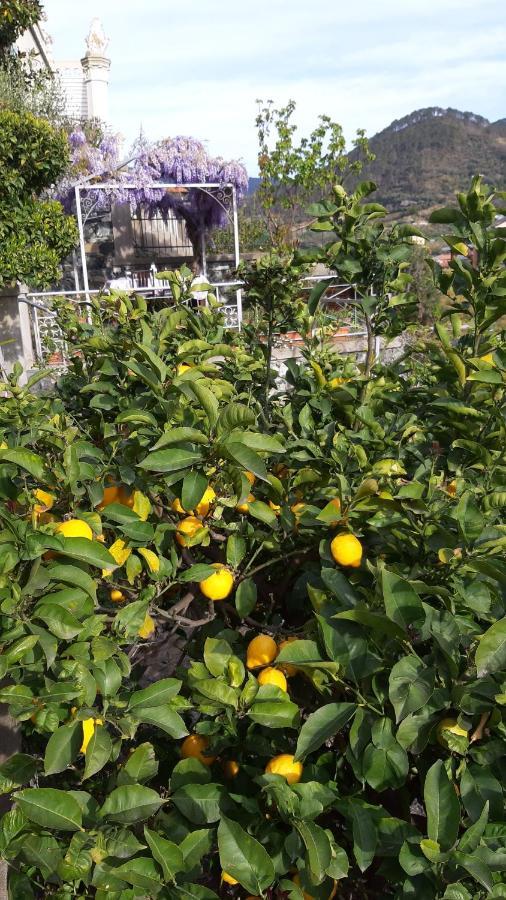 I Limoni Gia Torretta Daire Levanto Dış mekan fotoğraf